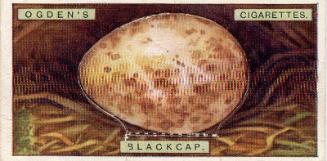 Ogden's Cigarette Cards: Bird's Eggs Series - Blackcap's Egg