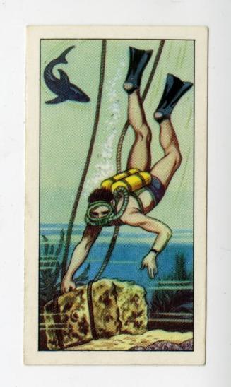 "Wonders of The Deep" NCS Card - Frogman