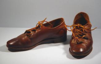 Brown Walking Shoes