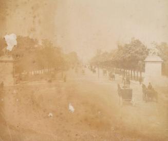L'Avenue des Champs Elysees