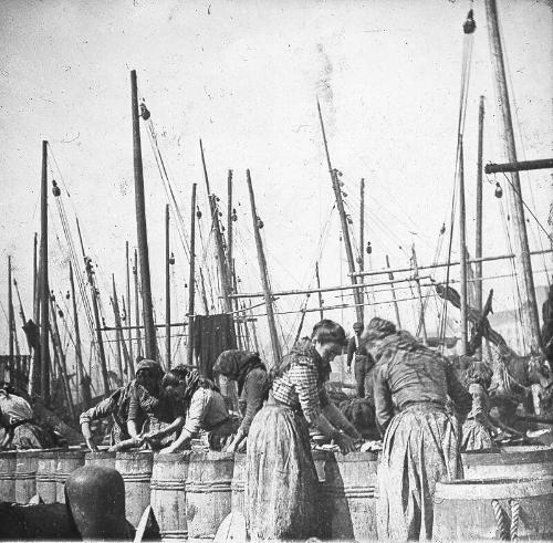 Gutting Herring, Aberdeen