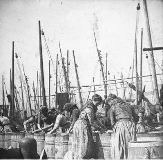 Gutting Herring, Aberdeen