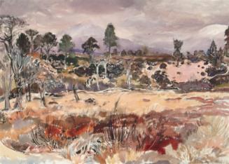 Rothiemurchus Forest, April by Alexander S. Burns