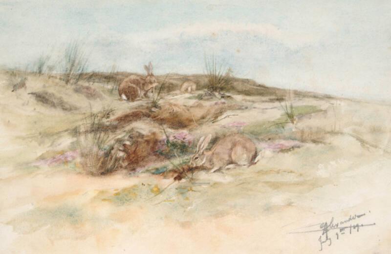 Rabbits by Edwin Alexander