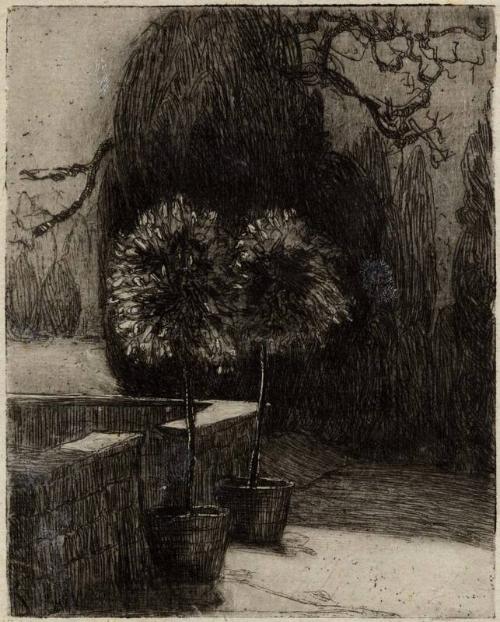 Landscape (2 Shrubs & Tree) by Kathleen Shackleton