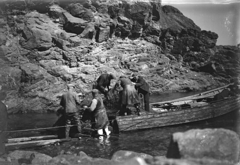 glass plate negative with a view "bringing in the salmon"