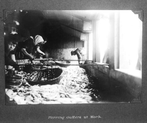 "Herring Gutters at work"