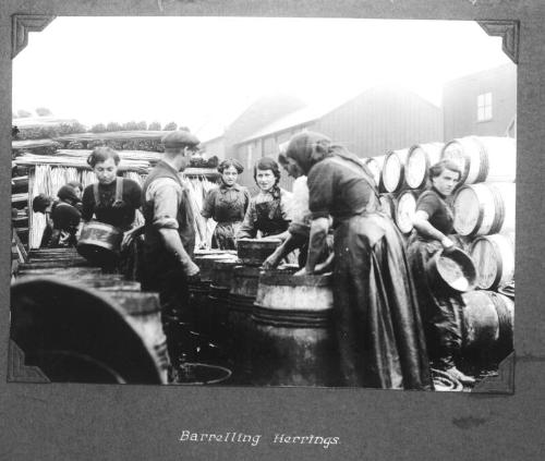 Showing "Barrelling Herrings"