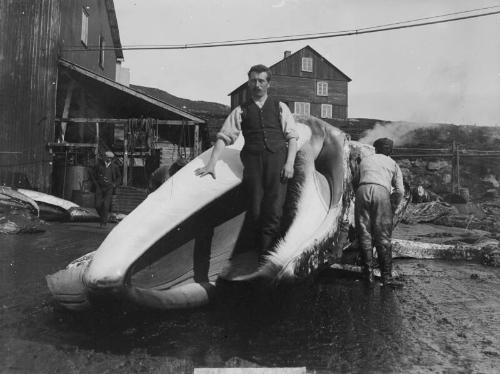 man standing in a Whale's mouth