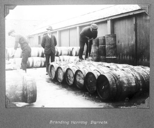"Branding Herring Barrels"