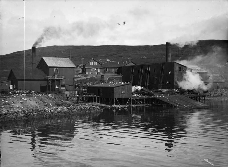 Showing Whaling Station