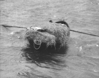 Small Boat with Cargo of Straw at Staffin