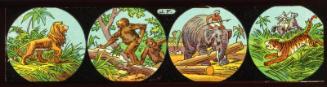 Lantern Slide/Strip: Animals