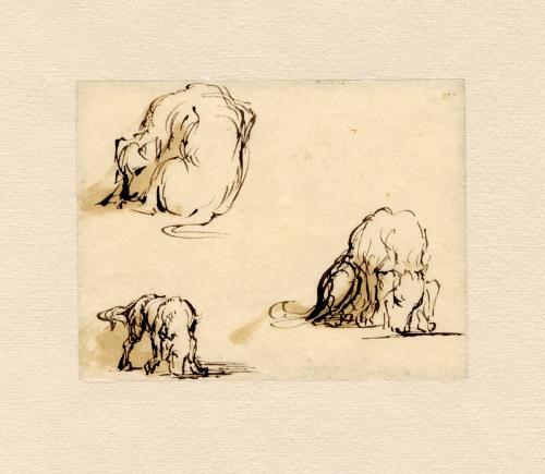 Study Of Dogs by Sir David Wilkie RA