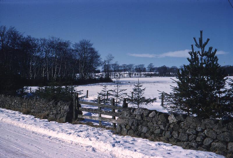 Snow Scene Hazeldene Road 