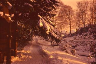Johnston Gardens Under Snow