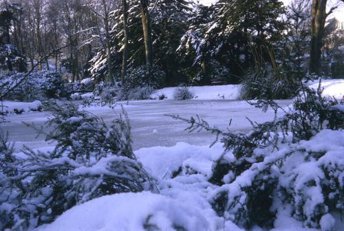 Johnston Gardens Under Snow