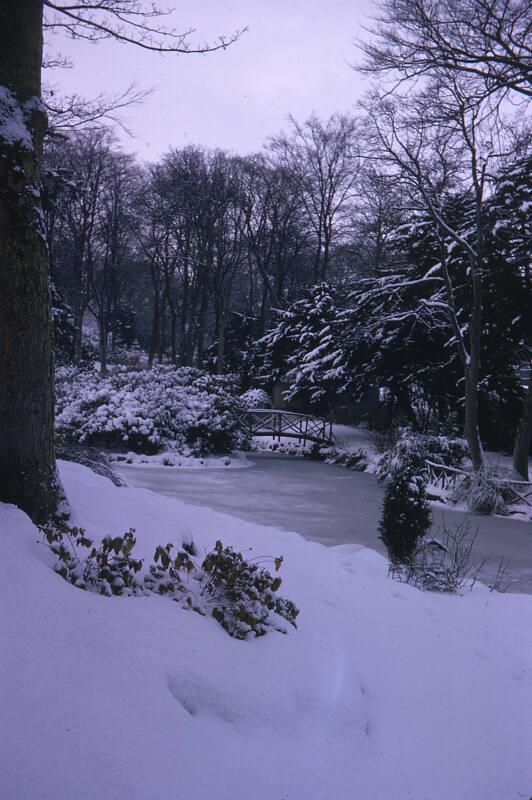 Johnston Gardens Under Snow