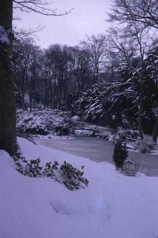 Johnston Gardens Under Snow