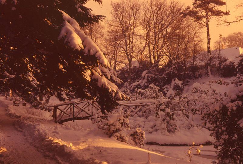 Johnston Gardens Under Snow