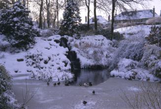 Johnston Gardens Under Snow