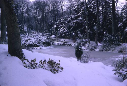 Johnston Gardens Under Snow