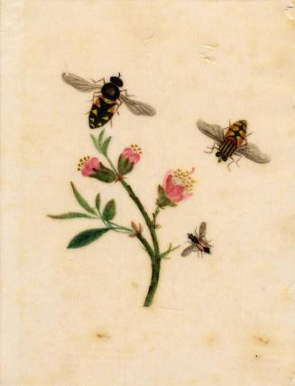 Bees And Pink Flowers by unknown artist 