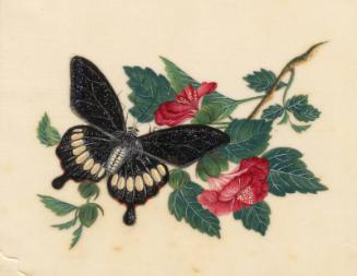 Black Butterfly And Pink Flowers by Black Butterfly And Pink Flowers