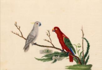 Two Parakeets On A Branch by unknown artist