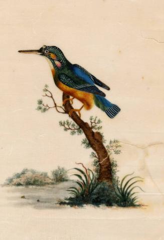 Green, Brown & Blue Bird On Branch by unknown artist 