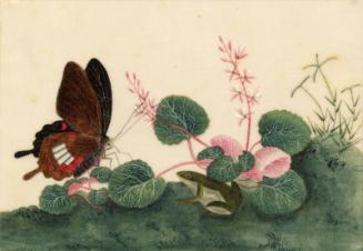 Butterfly & Frog Among Pink Flowers by unknown artist