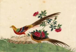 Two Long Tailed Birds And Pink Rose Bush by unknown artist