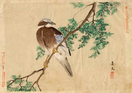 Bird on Branch by unknown artist