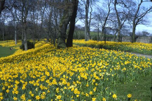 Seaton Park