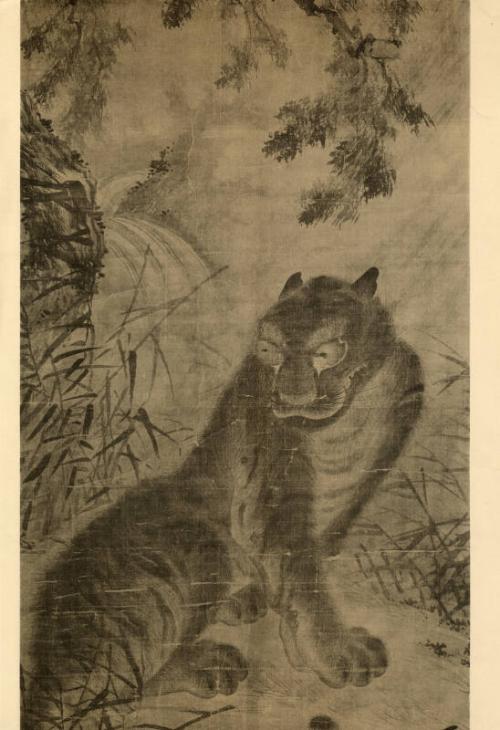 Tiger By A Mountain Torrent