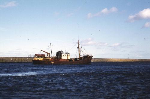 trawler Janwood in Aberdeen Harbour