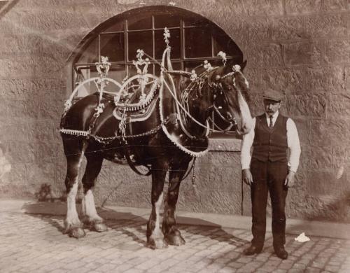 Horse Turned Out to Pull Decorated Cart Celebrating Coronation George V.