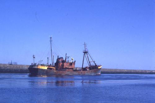 unidentified Ben trawler in Aberdeen harbour 