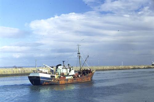 trawler Ross Tern in Aberdeen harbour