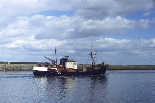 trawler Marwood in Aberdeen Harbour 