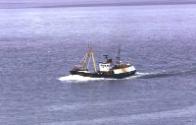 trawler Sealgair at sea