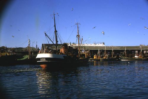 Trawler Luneda in Aberdeen harbour