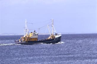 Unidentified trawler