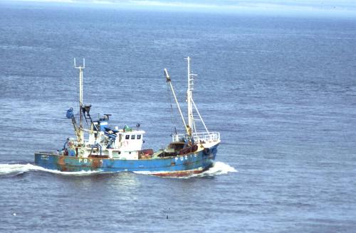 Unidentified trawler