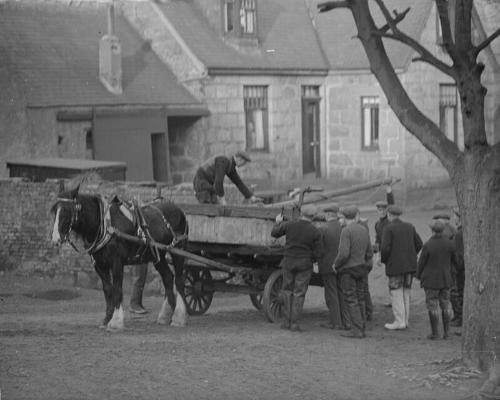 Loading Cart-Glass Negative