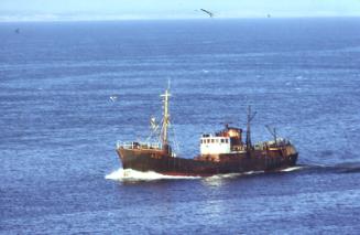 showing an unidentified trawler