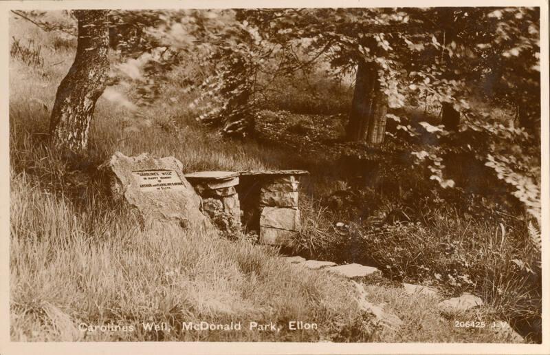 Caroline's Well, Mcdonald Park