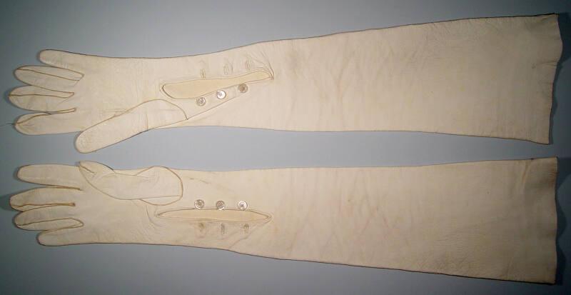 Ladies Long Kid Gloves