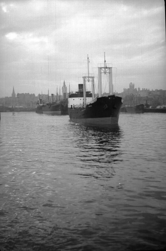 Harbour View - Victoria Dock