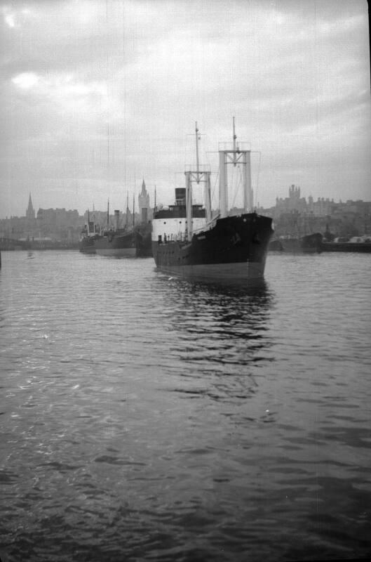 Harbour View - Victoria Dock